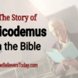 nicodemus in the bible