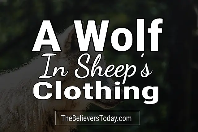 a wolf in sheeps clothing