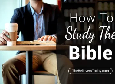 how to study the bible for beginners