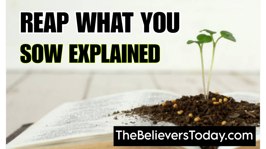 Reap What You Sow Explained
